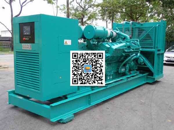 尼玛租赁发电机-康明斯发电机性价比还是比较高的